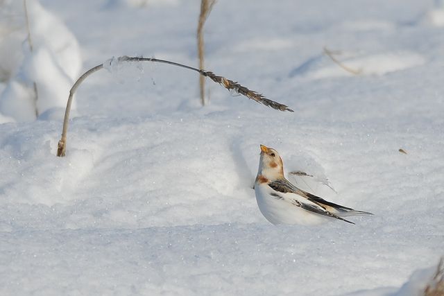 ���L�z�I�W��