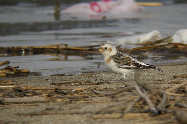 ���L�z�I�W��