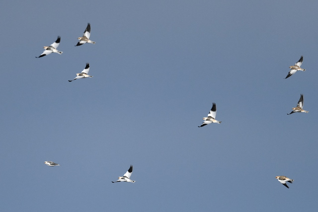 ���L�z�I�W��