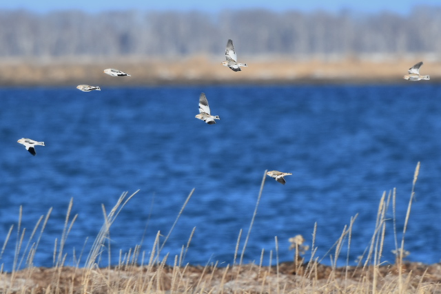 ���L�z�I�W��