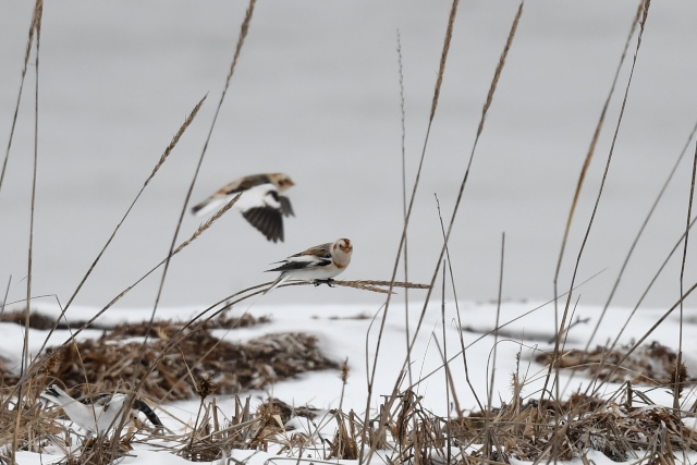 ���L�z�I�W��