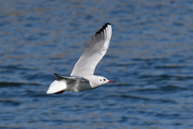 �����J����