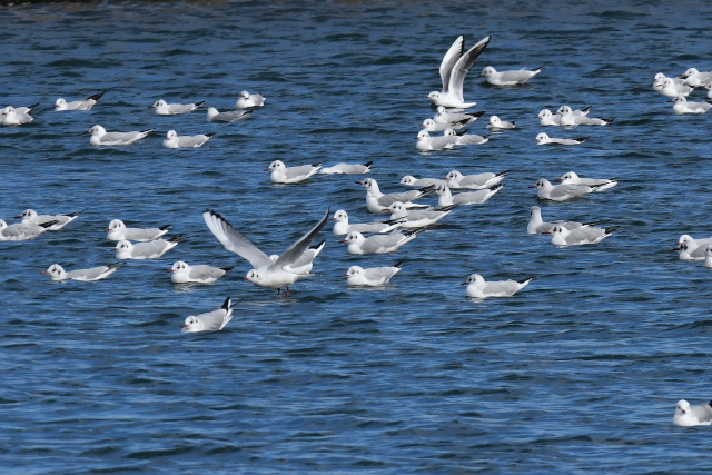 �����J����