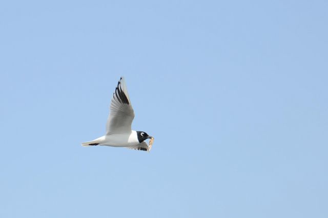 �Y�O���J����