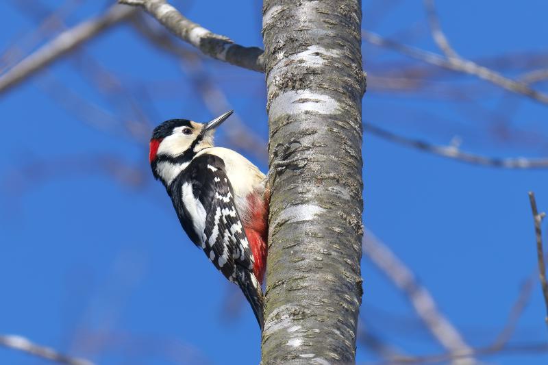 �A�J�Q���@2026�N3��18���@�k�C��